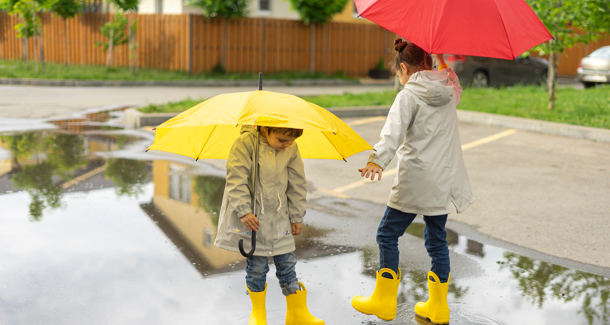 Shutterstock 1896476152