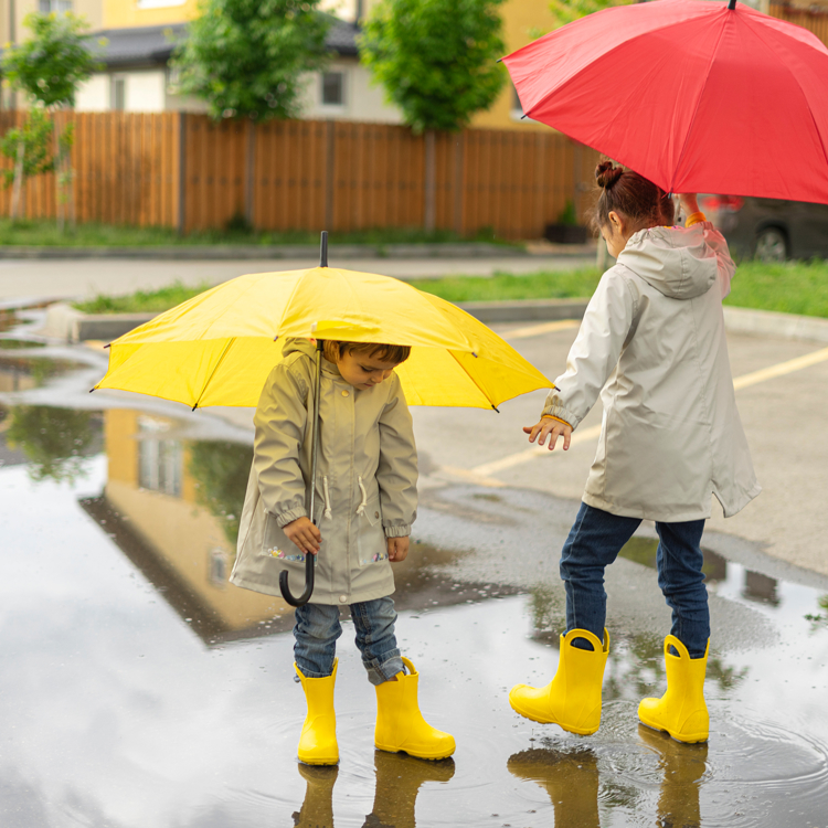 Shutterstock 1896476152