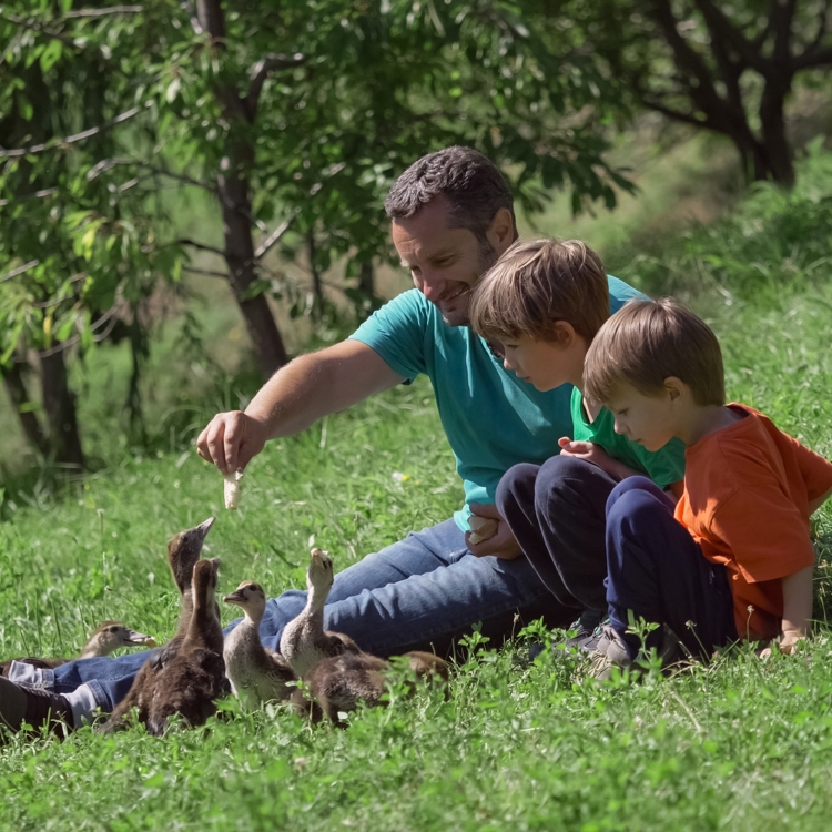 Shutterstock 2442325967